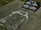 image of grave number 154160